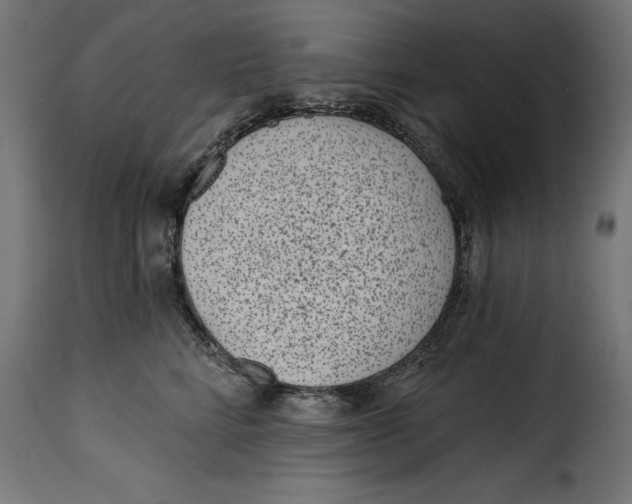 X0000115250712200911201642