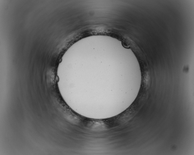 X0000115250715200911201642