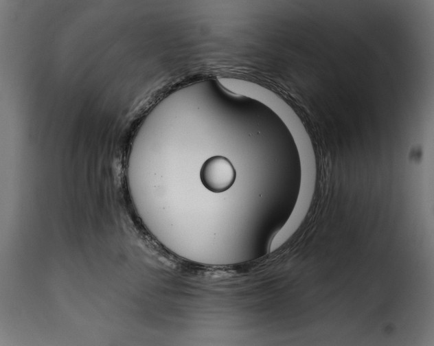 X0000115250716200911201642