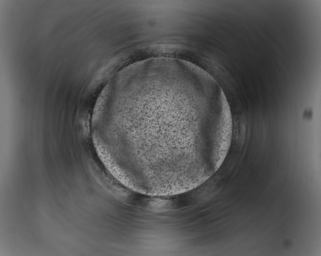 X0000115250718200911201642