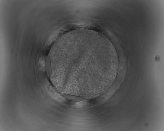 X0000115250720200911201642