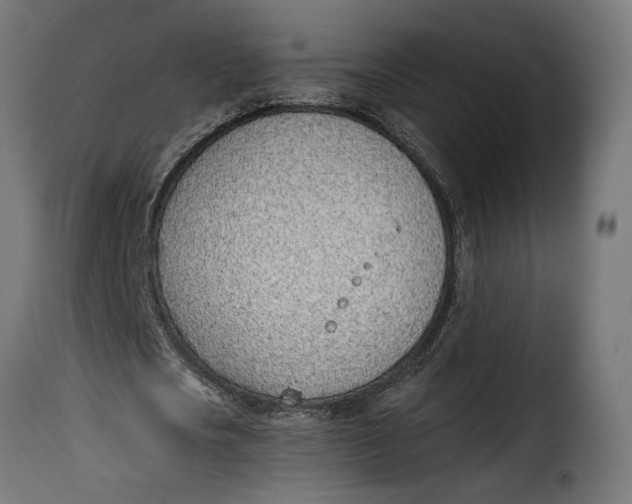 X0000115250721200911201641