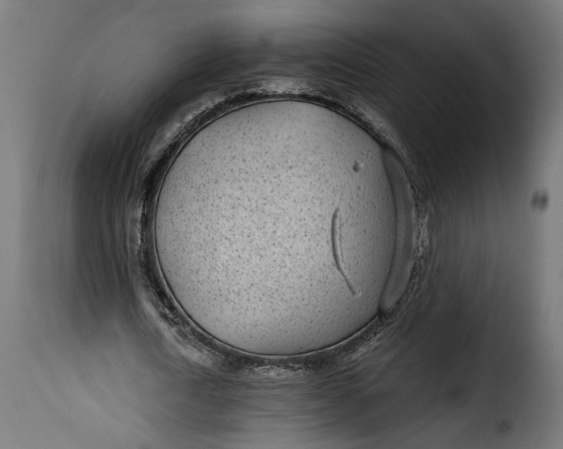 X0000115250722200911201641