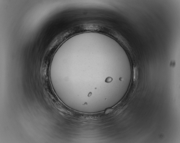 X0000115250723200911201641