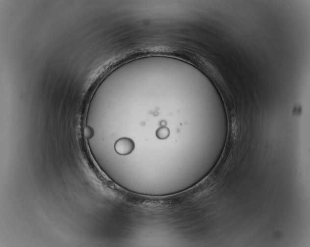 X0000115250725200911201641