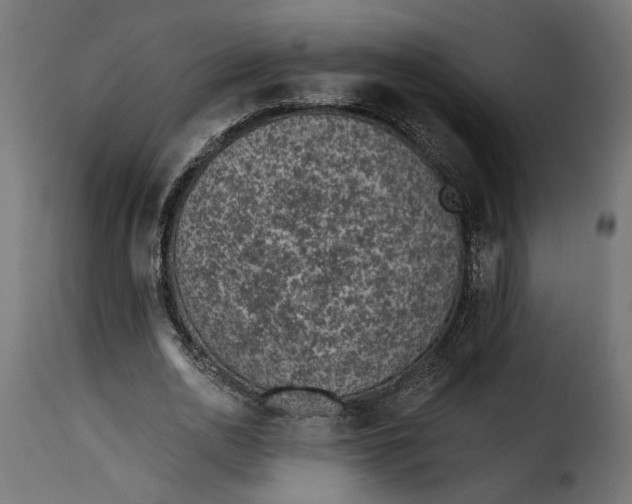 X0000115250726200911201641