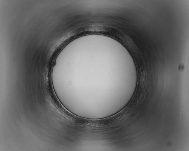 X0000115250727200911201642