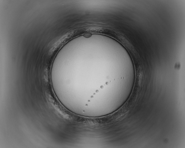 X0000115250729200911201642