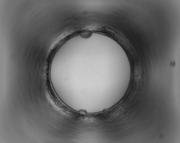 X0000115250730200911201642