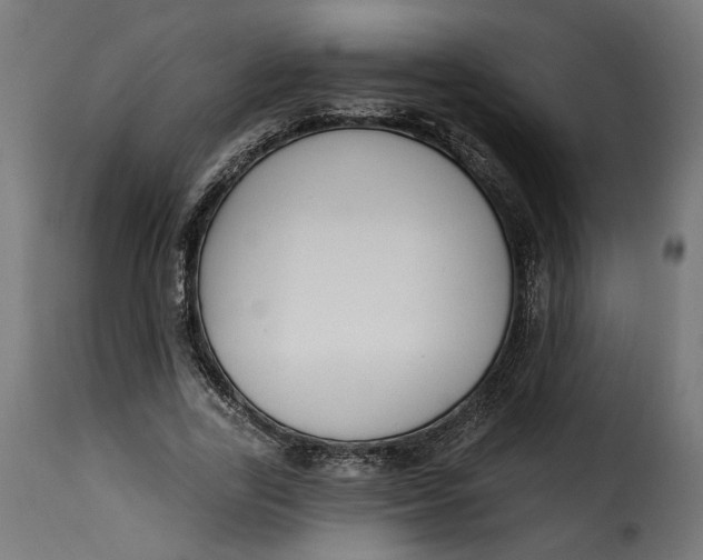 X0000115250731200911201642