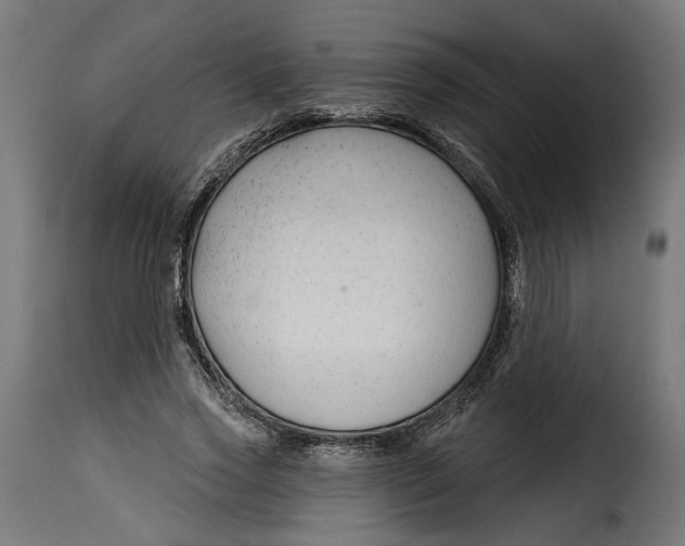 X0000115250733200911201642