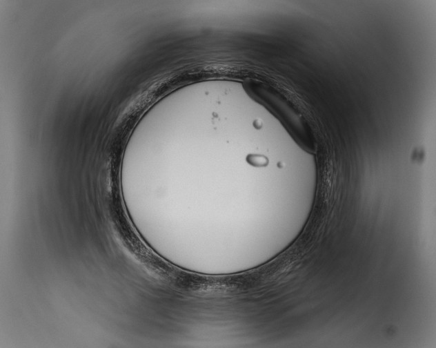 X0000115250734200911201642