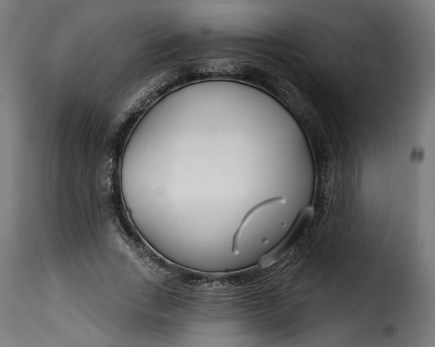 X0000115250735200911201642