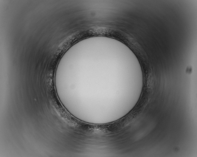 X0000115250737200911201642