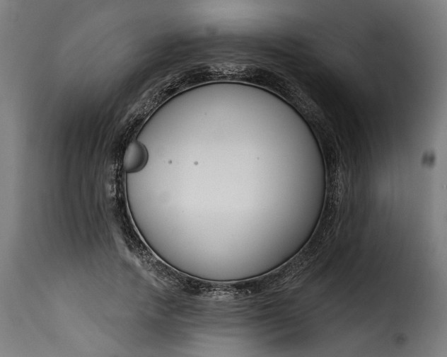 X0000115250738200911201642