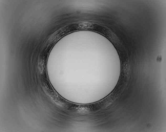 X0000115250741200911201642