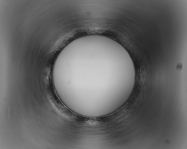 X0000115250742200911201642