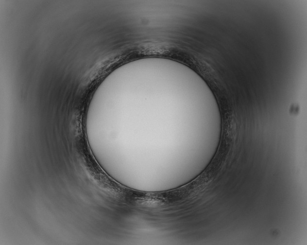 X0000115250743200911201642