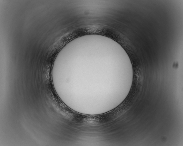 X0000115250745200911201642