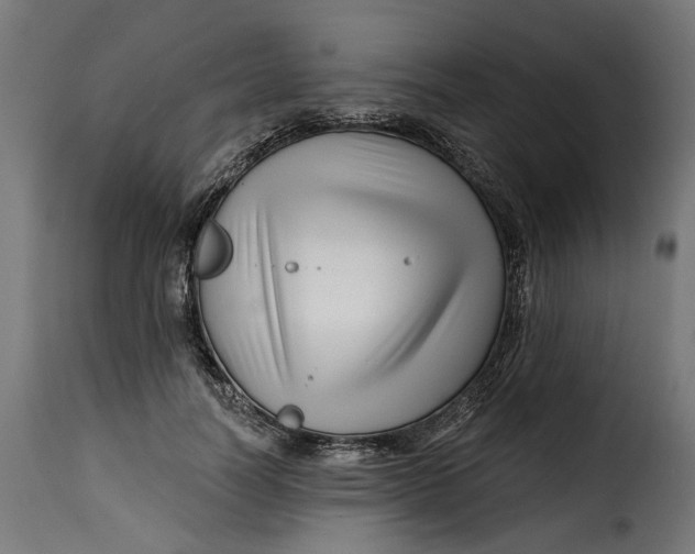 X0000115250746200911201642