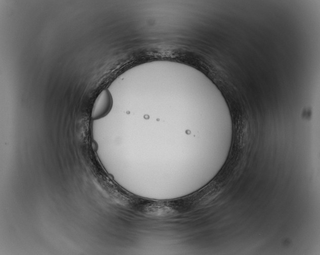 X0000115250747200911201642