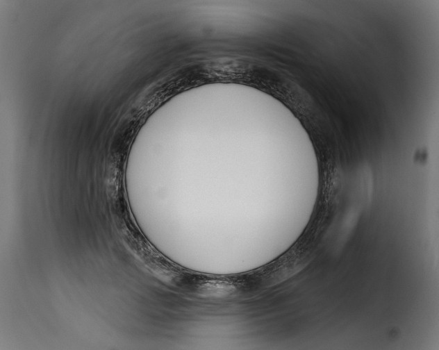 X0000115250749200911201642