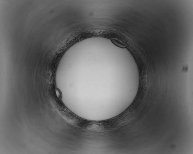 X0000115250750200911201642