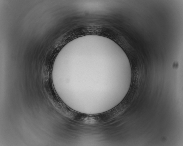 X0000115250751200911201642