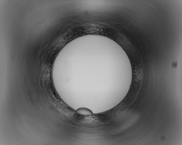 X0000115250753200911201642