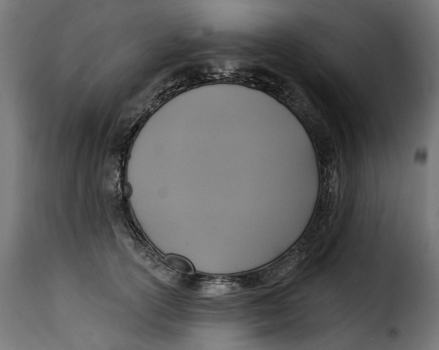 X0000115250754200911201642