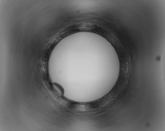 X0000115250755200911201642