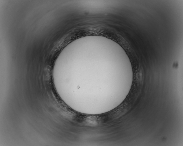 X0000115250757200911201642