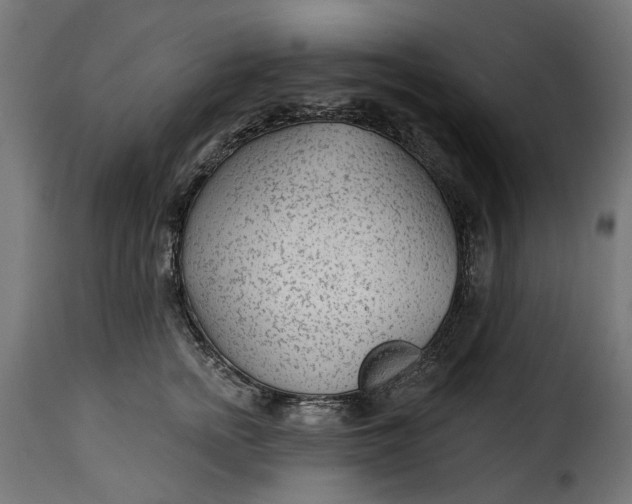 X0000115250758200911201642