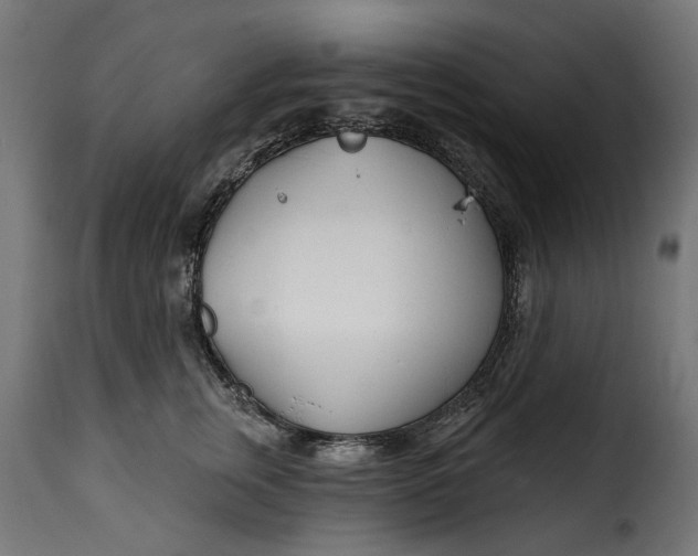 X0000115250759200911201642