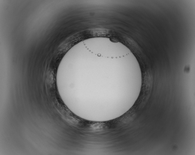 X0000115250761200911201642