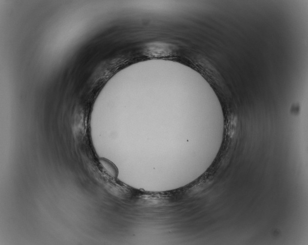 X0000115250763200911201642