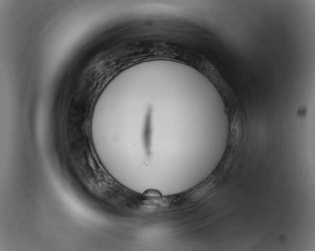 X0000115250765200911201642