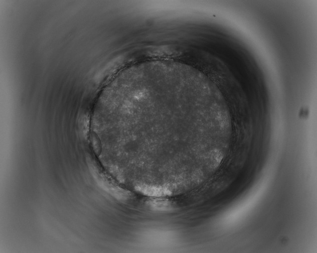 X0000115250767200911201642