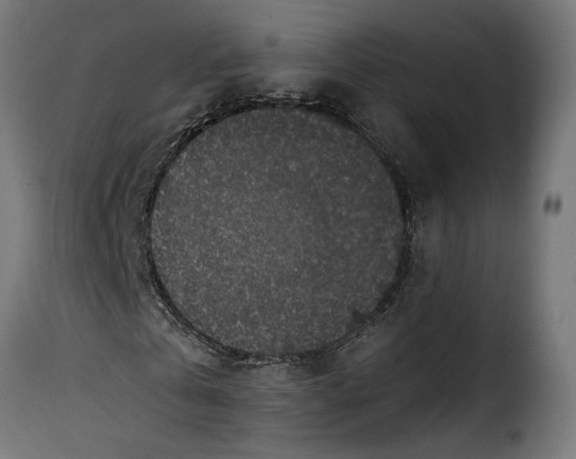 X0000115250769200911201641