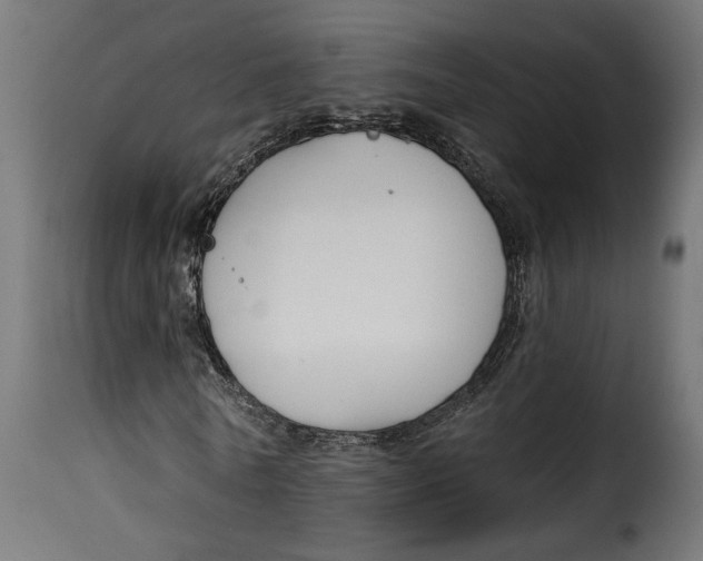 X0000115250770200911201641