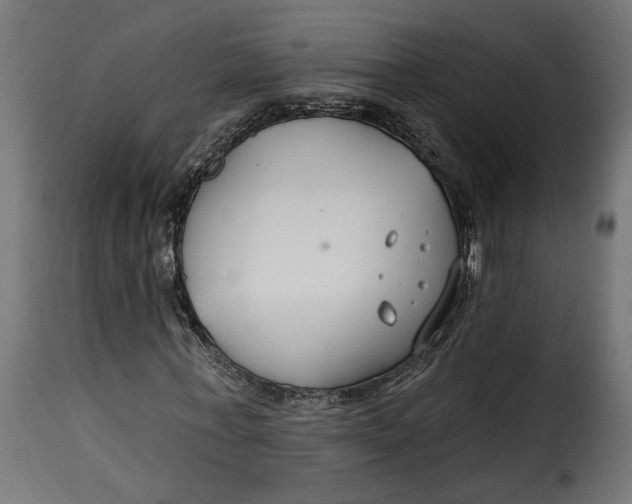 X0000115250771200911201641