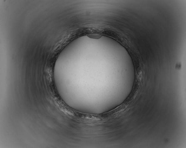 X0000115250772200911201641