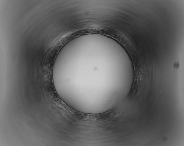 X0000115250773200911201641