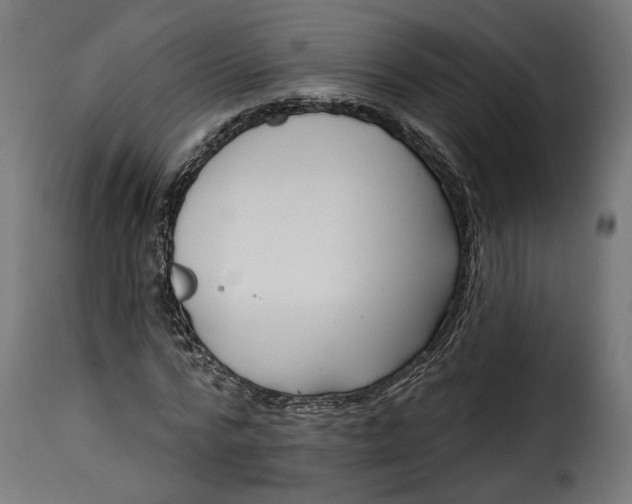 X0000115250776200911201641