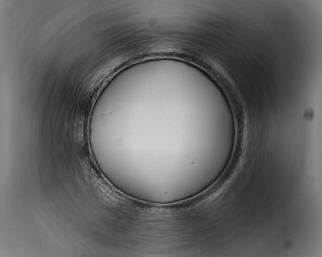 X0000115250777200911201641