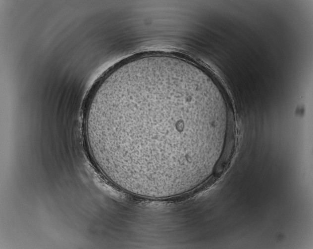 X0000115250779200911201641