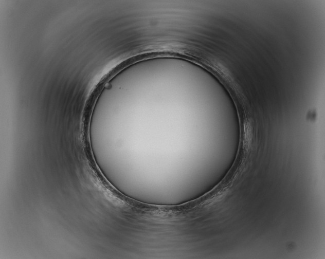 X0000115250780200911201641