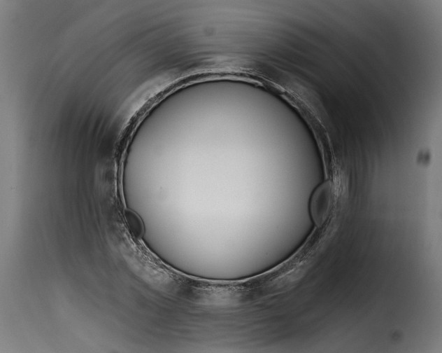 X0000115250781200911201641