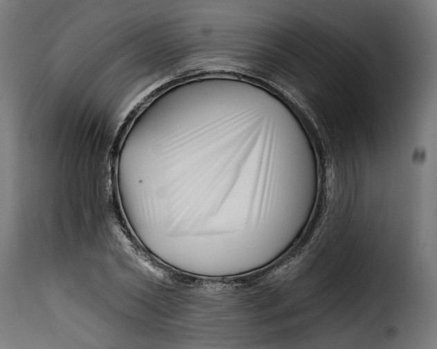 X0000115250782200911201641