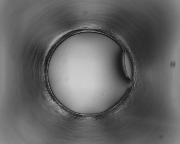 X0000115250784200911201641